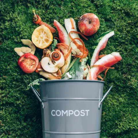 Compost Bin