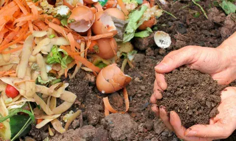 Food scraps and compost in hand
