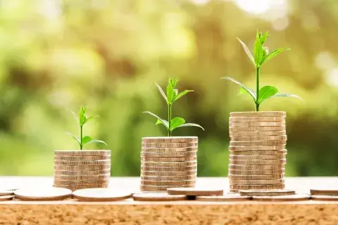 Coins with plants