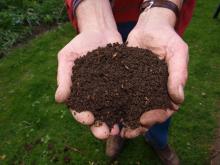 Person holding compost in hands