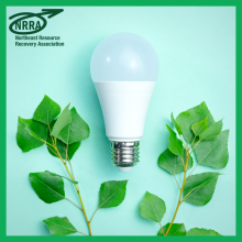 Lightbulb with greenery