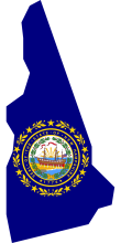 NH state flag 