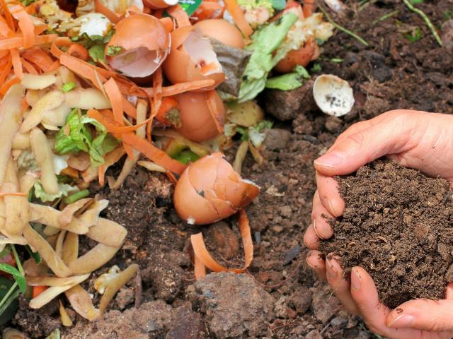 Food scraps and compost in hand