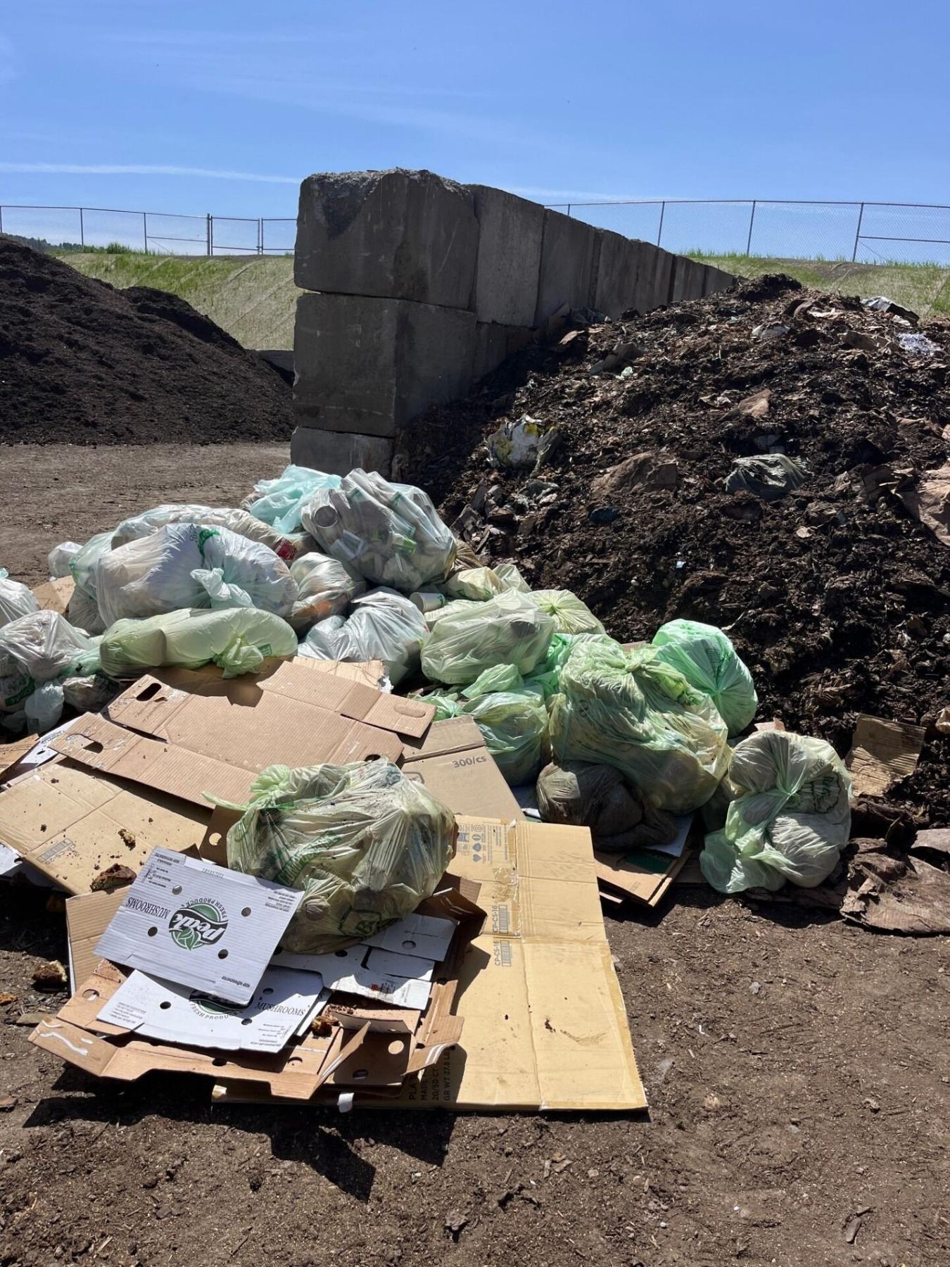 compost pile with waste