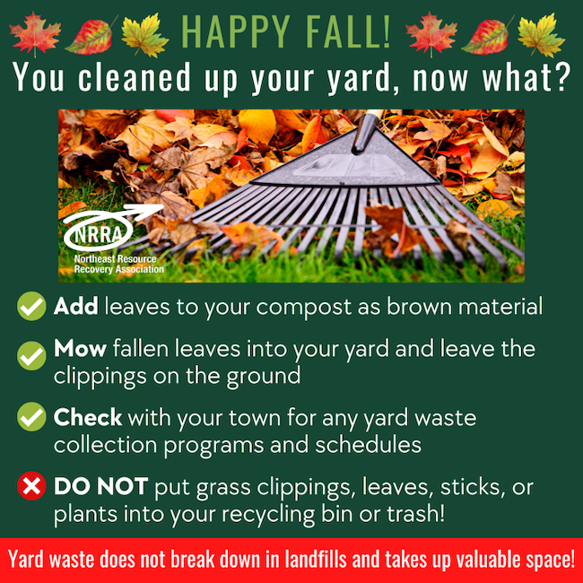 Fall Cleanup Recycling Education